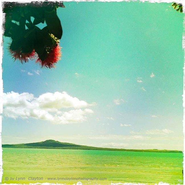 Rangitoto, Auckland